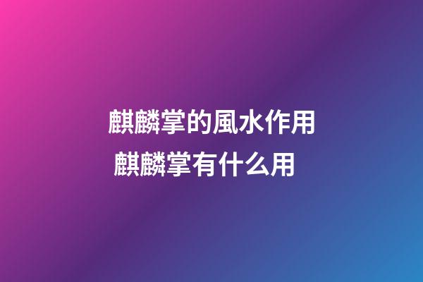 麒麟掌的風水作用 麒麟掌有什么用